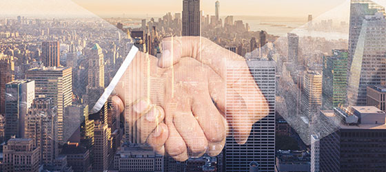 Trusted by Global Customers